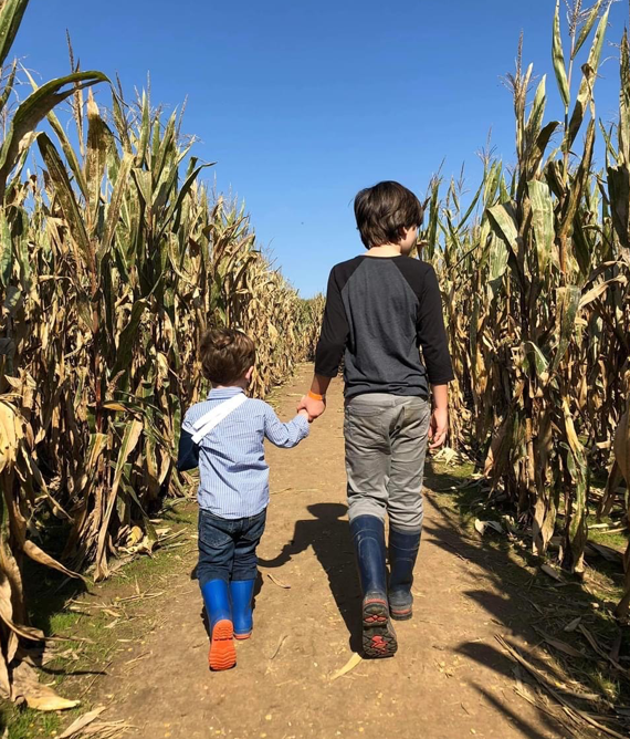 Boys in a corn maze