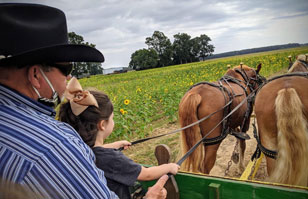 man and girl driving horses on carriage ride