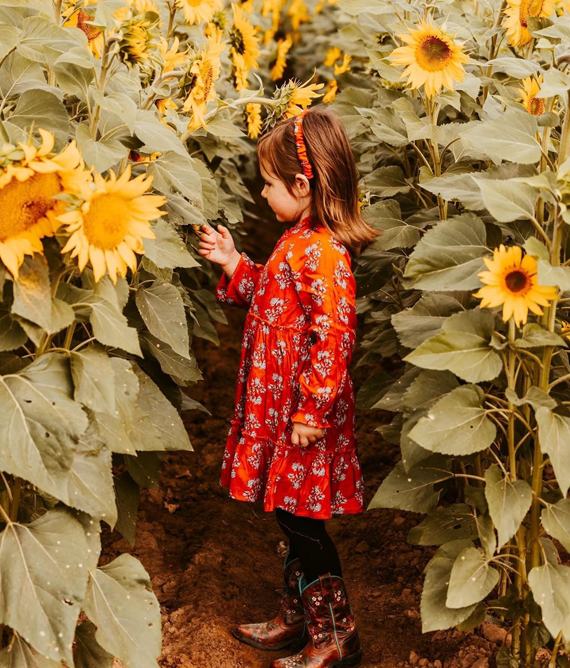 Photo op of girl in Sunflower field